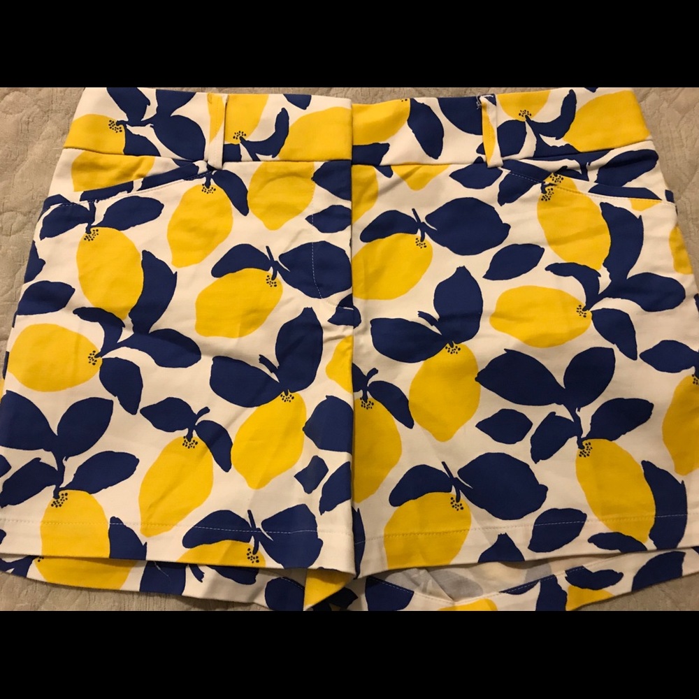 LOFT Yellow and Navy Lemon Print Women's Shorts